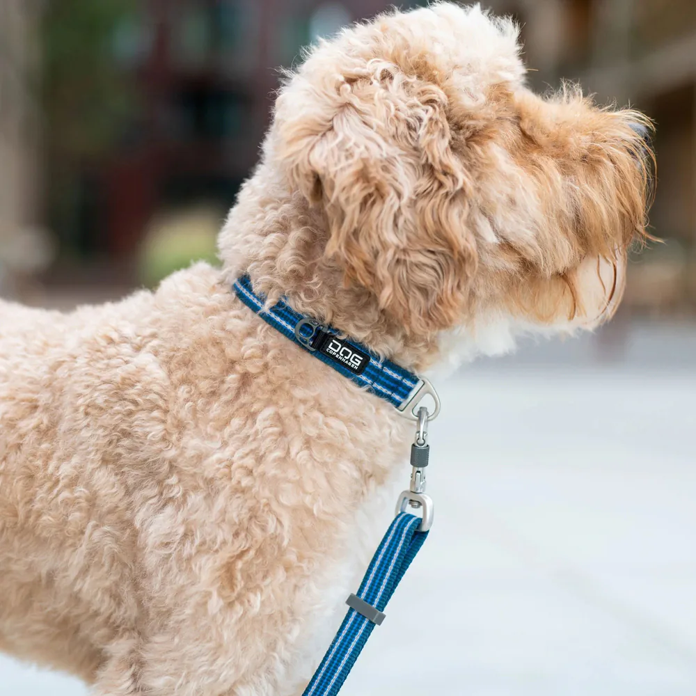 Dog Copenhagen Urban Style Halsband
