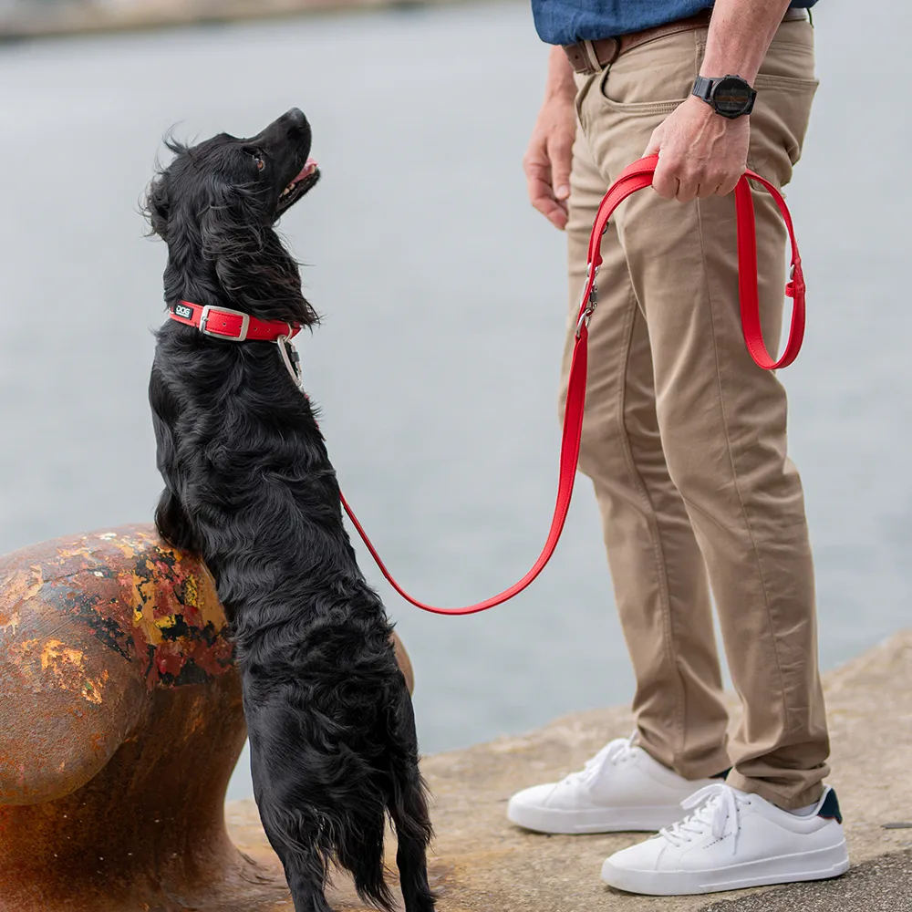 Dog Copenhagen Urban Classic Halsband