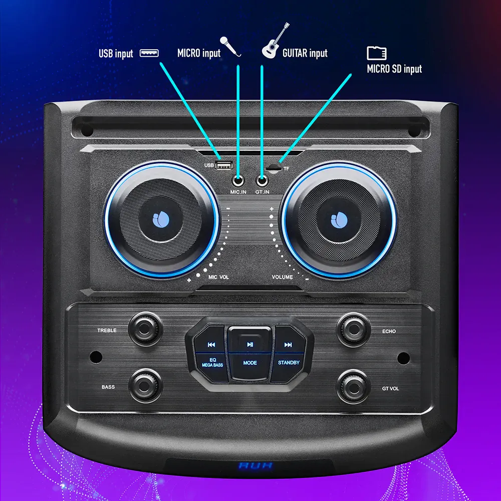 NGS Wild Dub 2 800W Partybox