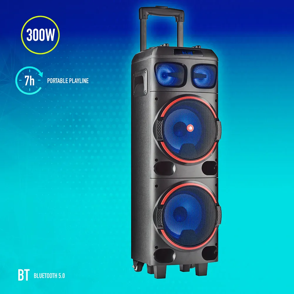 NGS Wild Dub 1 300W Partybox