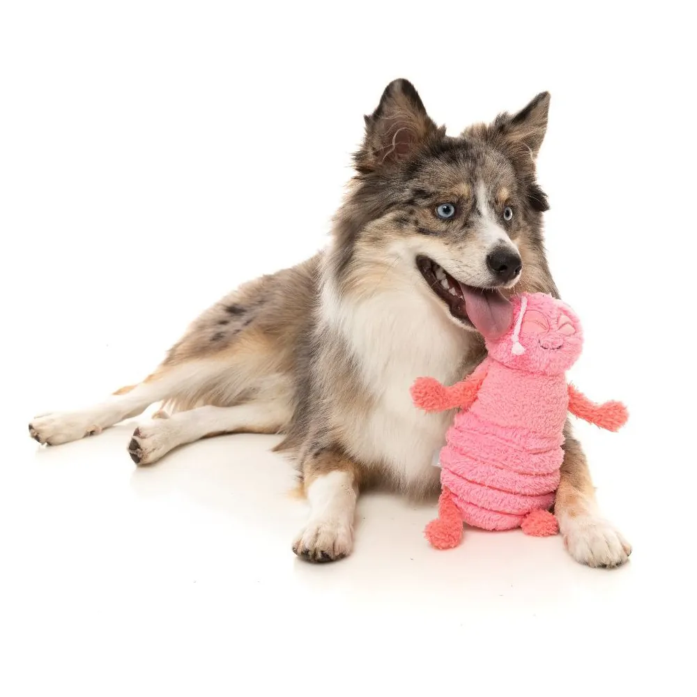 FuzzYard Flutter The Bed Bug - FZT787 FuzzYard Flutter The Bed Bug