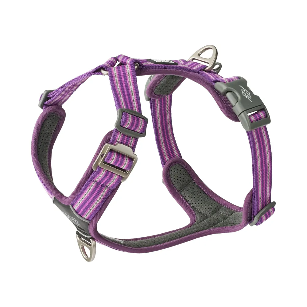 Dog Copenhagen Comfort Walk Air Geschirr
