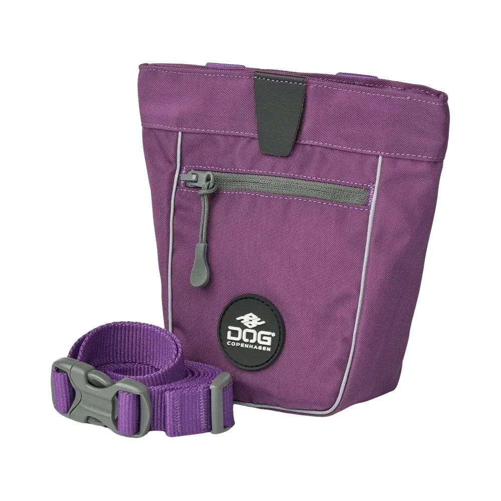 Dog Copenhagen Go Explore Treat Bag