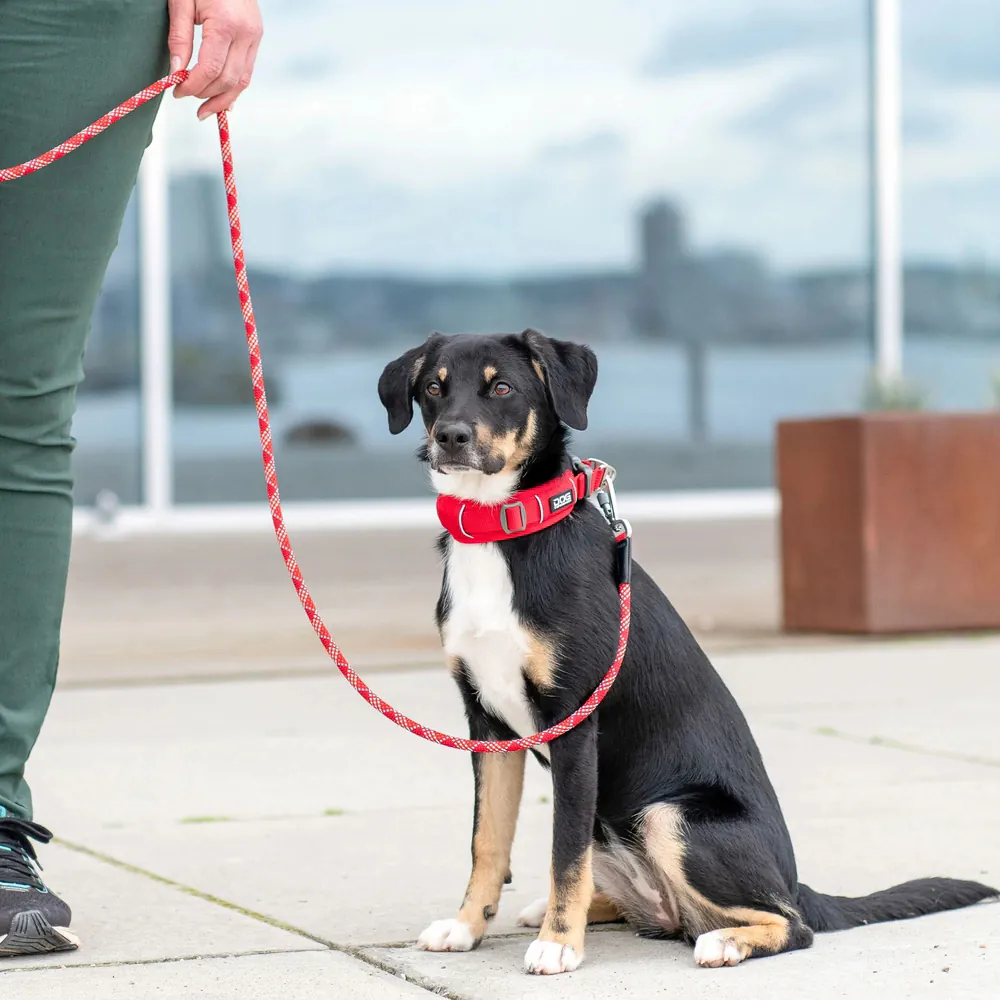 Dog Copenhagen Urban Explorer Halsband