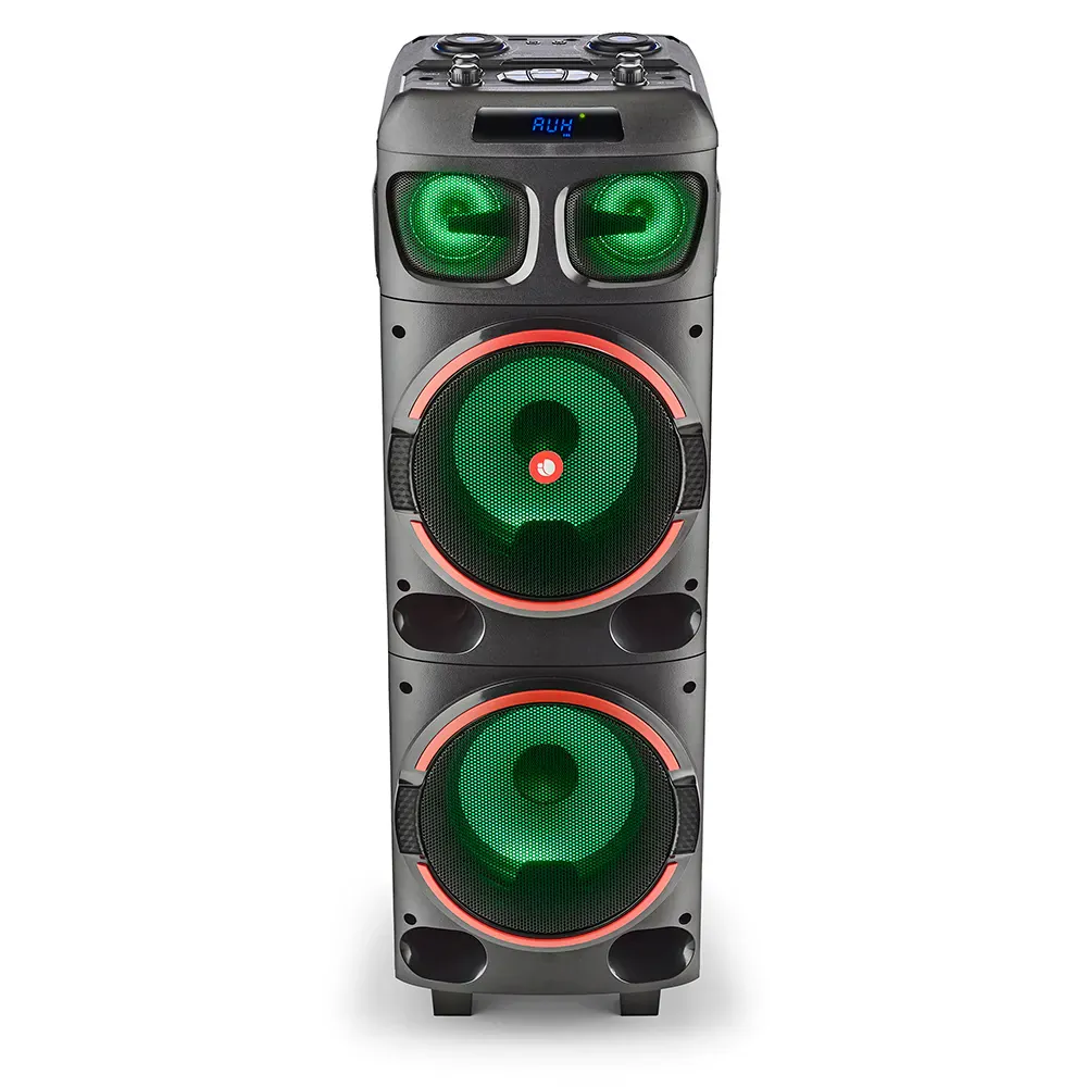 NGS Wild Dub 1 300W Partybox
