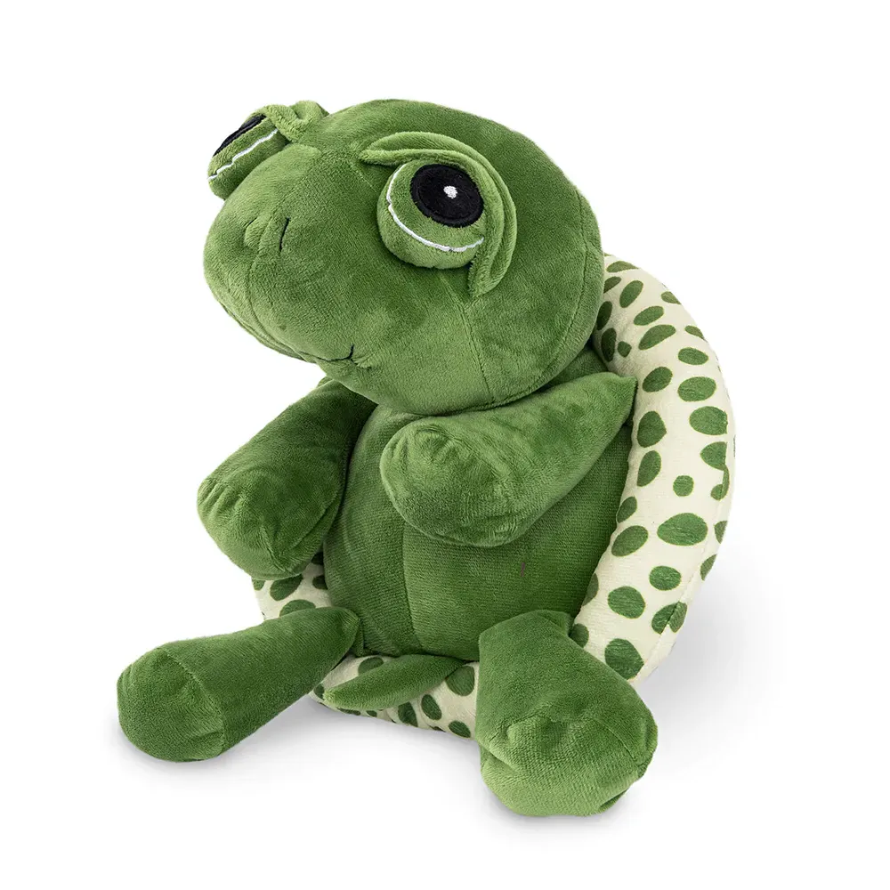 Freezack Turtle