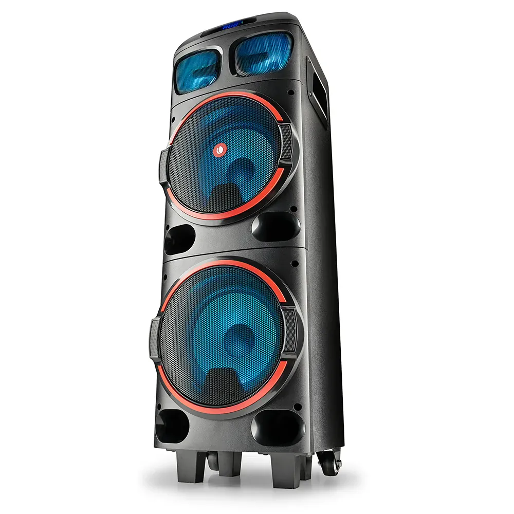 NGS Wild Dub 1 300W Partybox