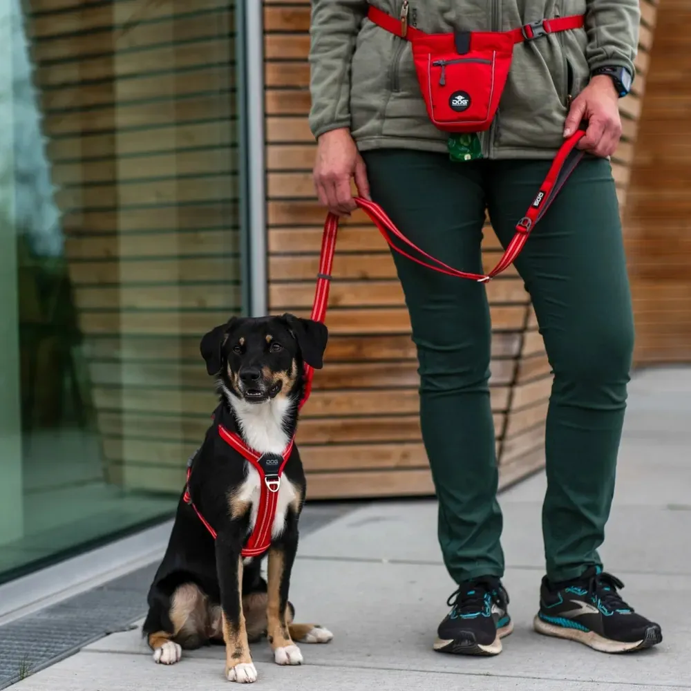 Dog Copenhagen Go Explore Treat Bag
