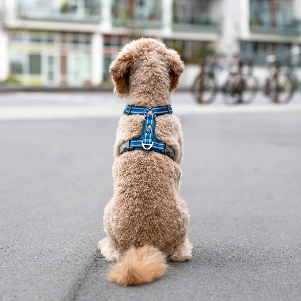 Dog Copenhagen Comfort Walk Air Geschirr
