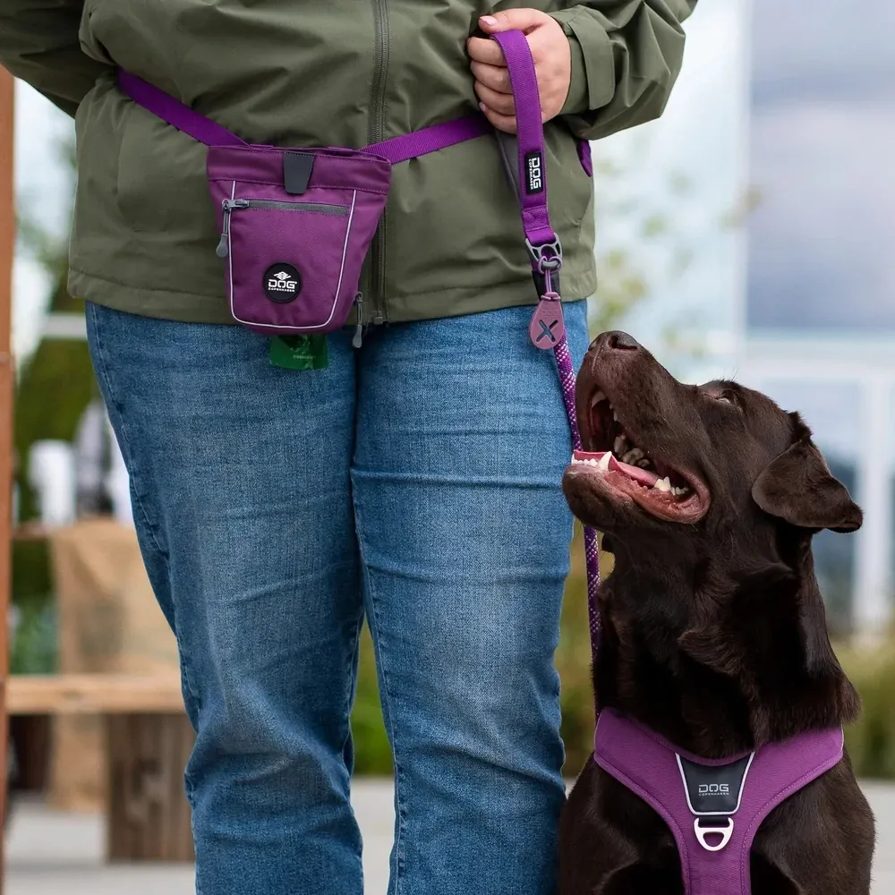 Dog Copenhagen Go Explore Treat Bag