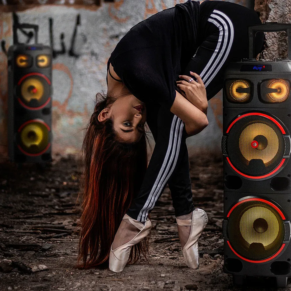 NGS Wild Dub 1 300W Partybox
