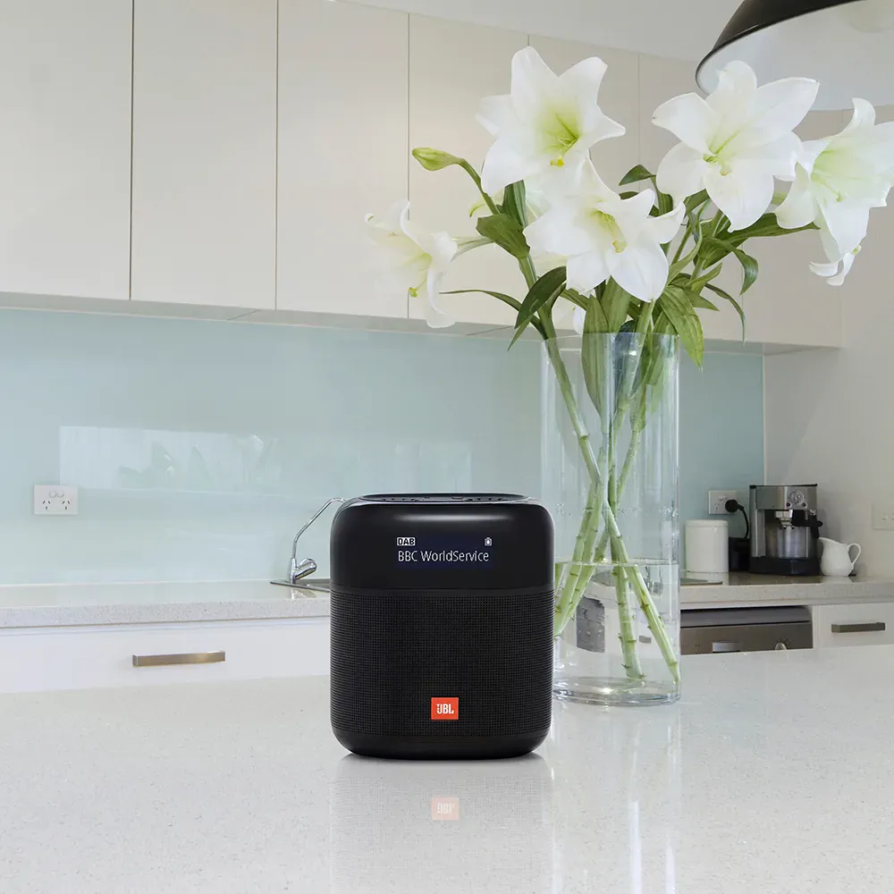 JBL Tuner XL