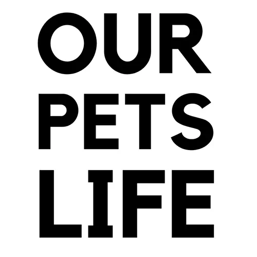 DogsLife