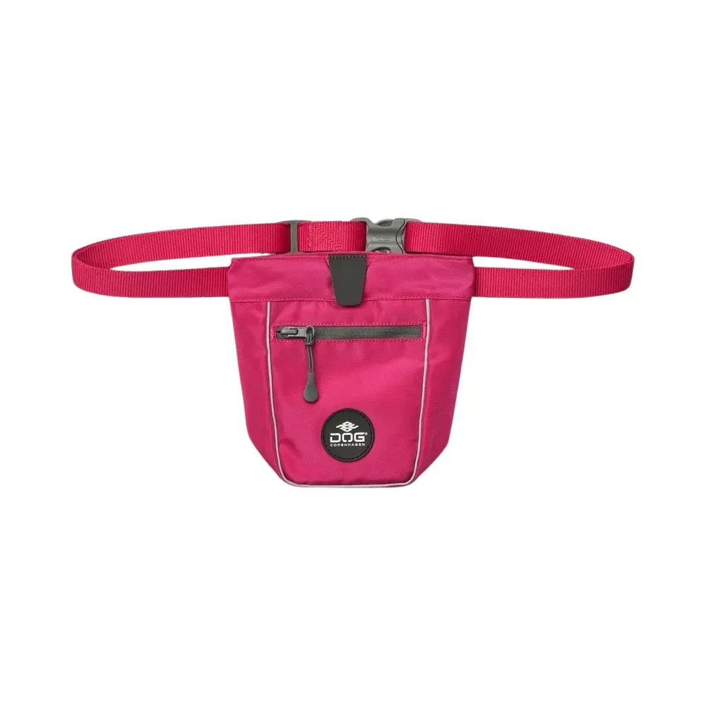 Dog Copenhagen Go Explore Treat Bag