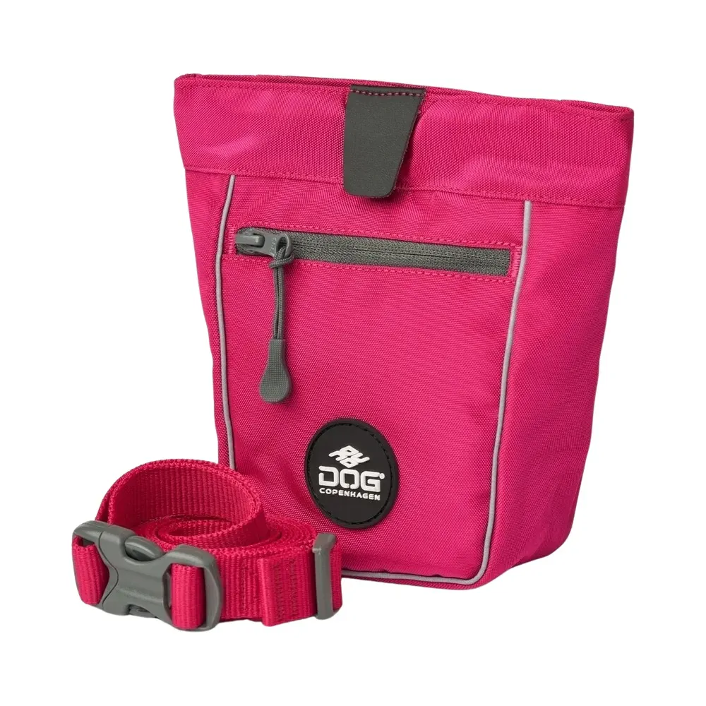 Dog Copenhagen Go Explore Treat Bag