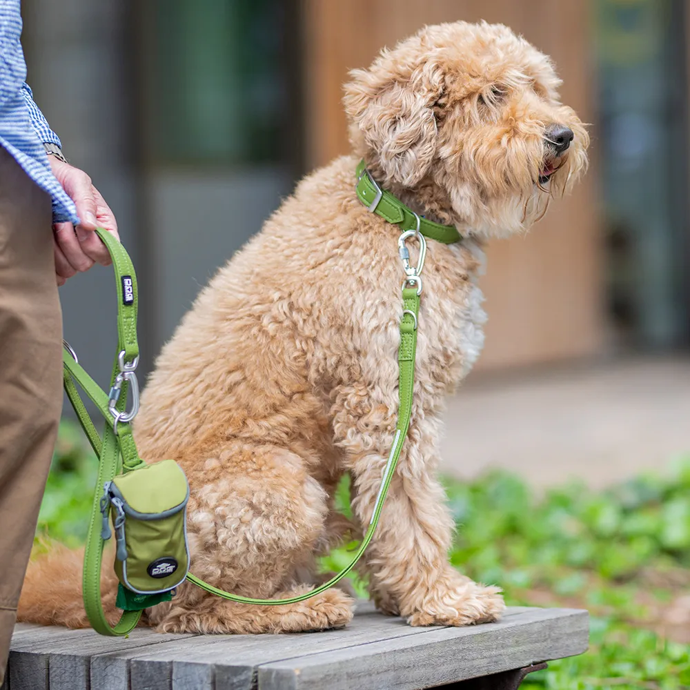 Dog Copenhagen Urban Classic Halsband