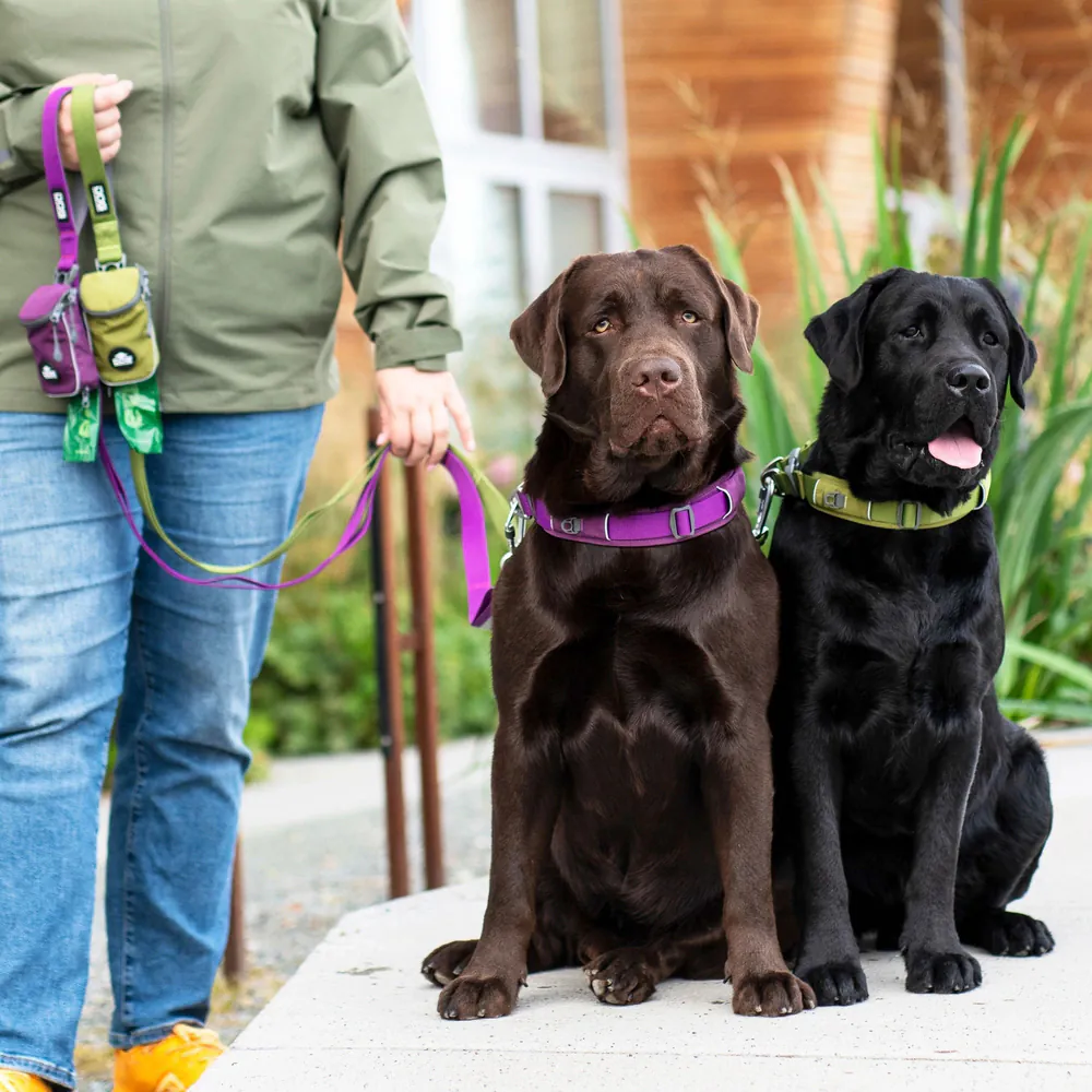Dog Copenhagen Urban Explorer Halsband - COL0297 Dog Copenhagen Urban Explorer Halsband