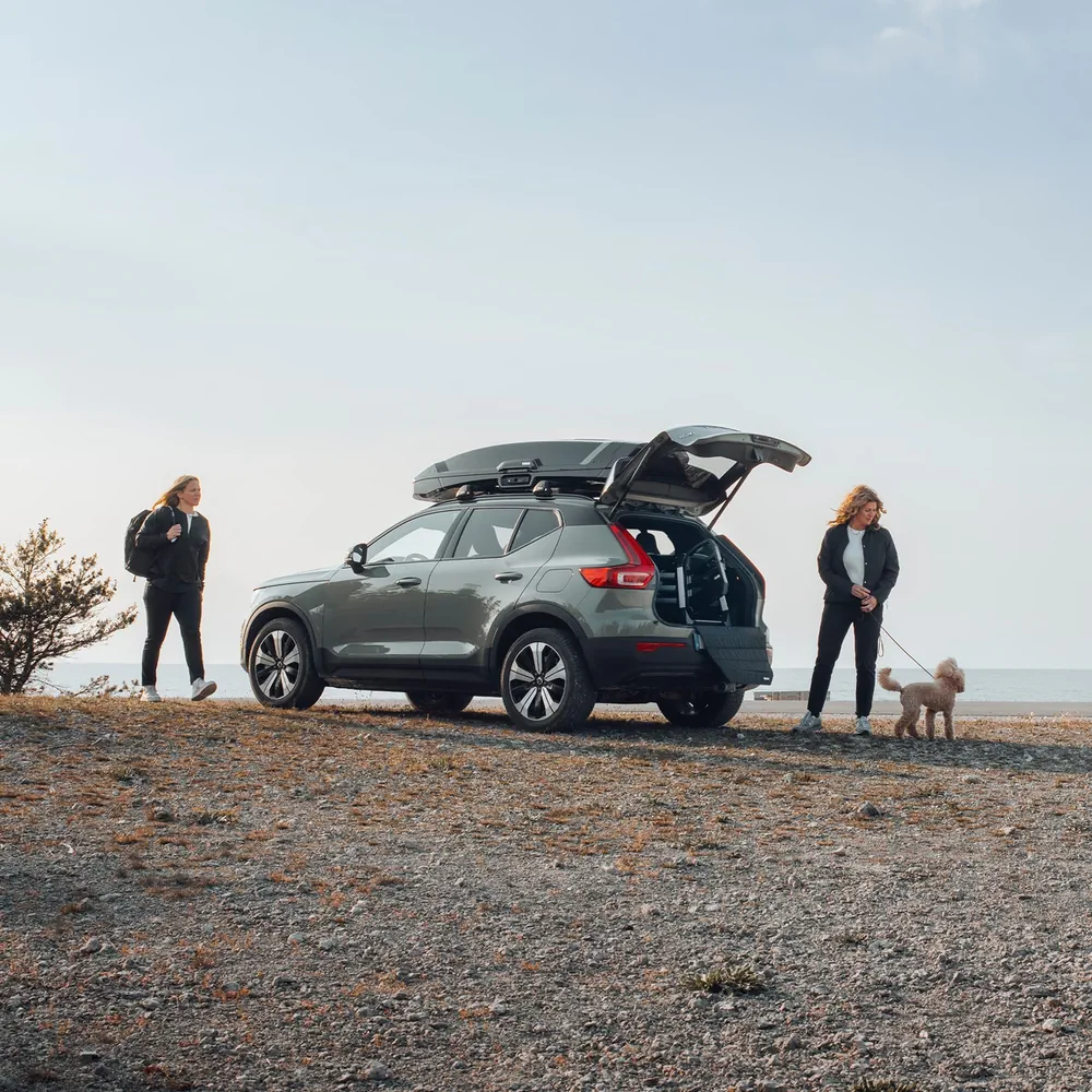 Thule Hundebox Allax