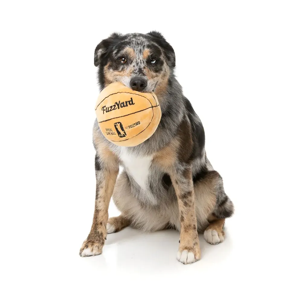 FuzzYard Basketball