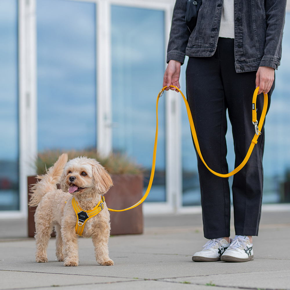 Dog Copenhagen Urban Classic Leine