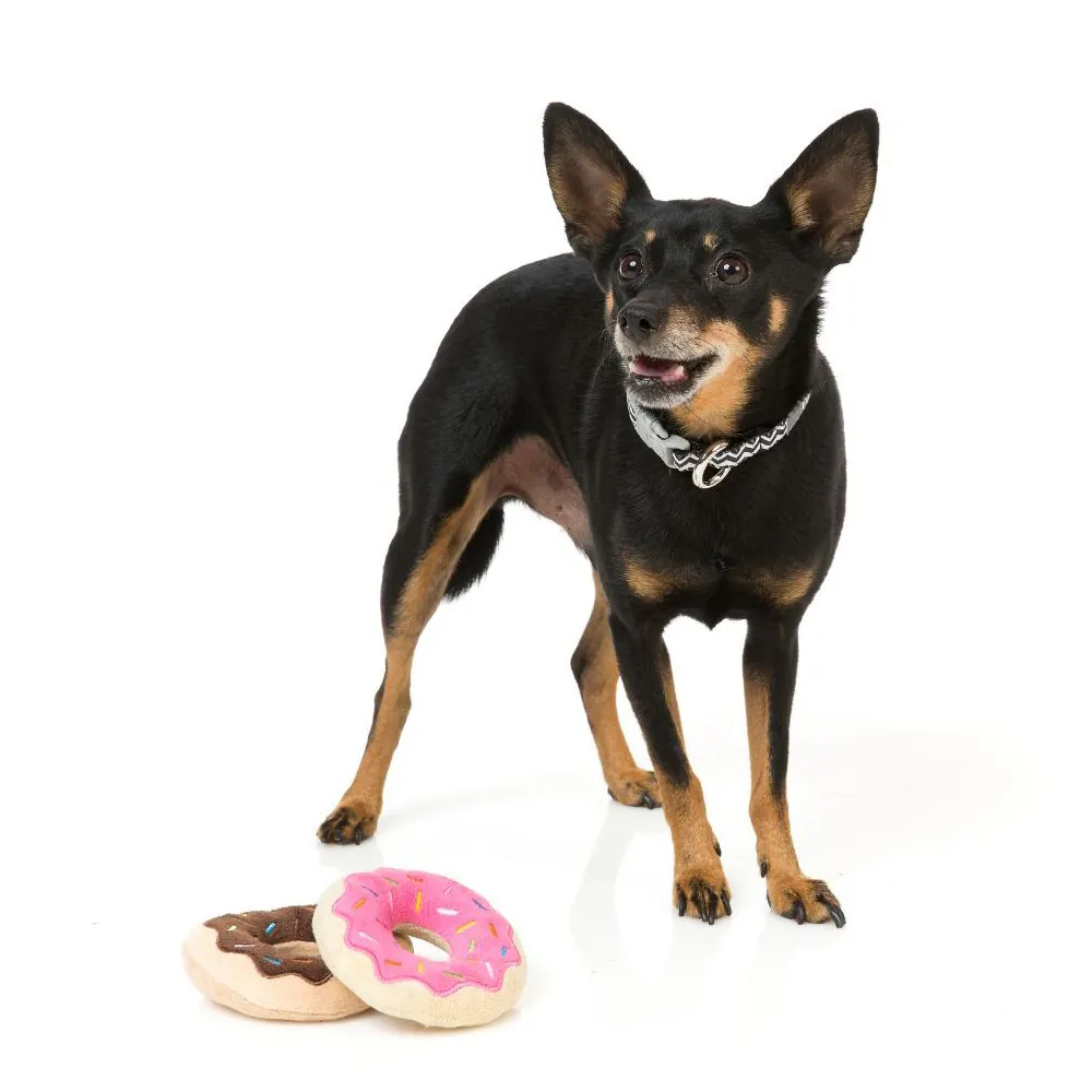 FuzzYard Donuts