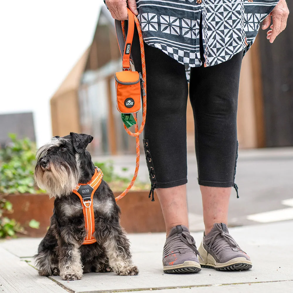 Dog Copenhagen Tasche Pouch Organizer