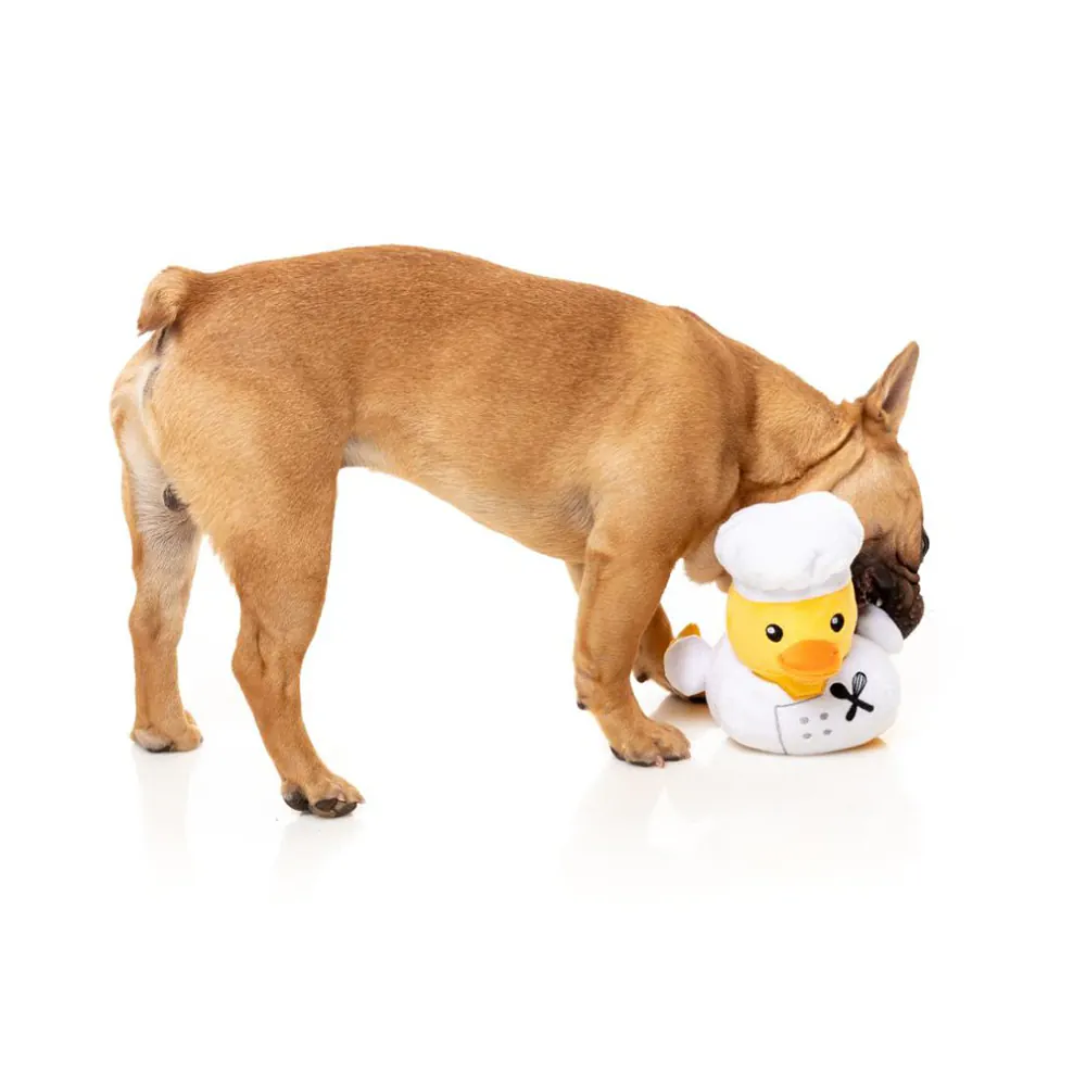 FuzzYard Gordon Quacksay