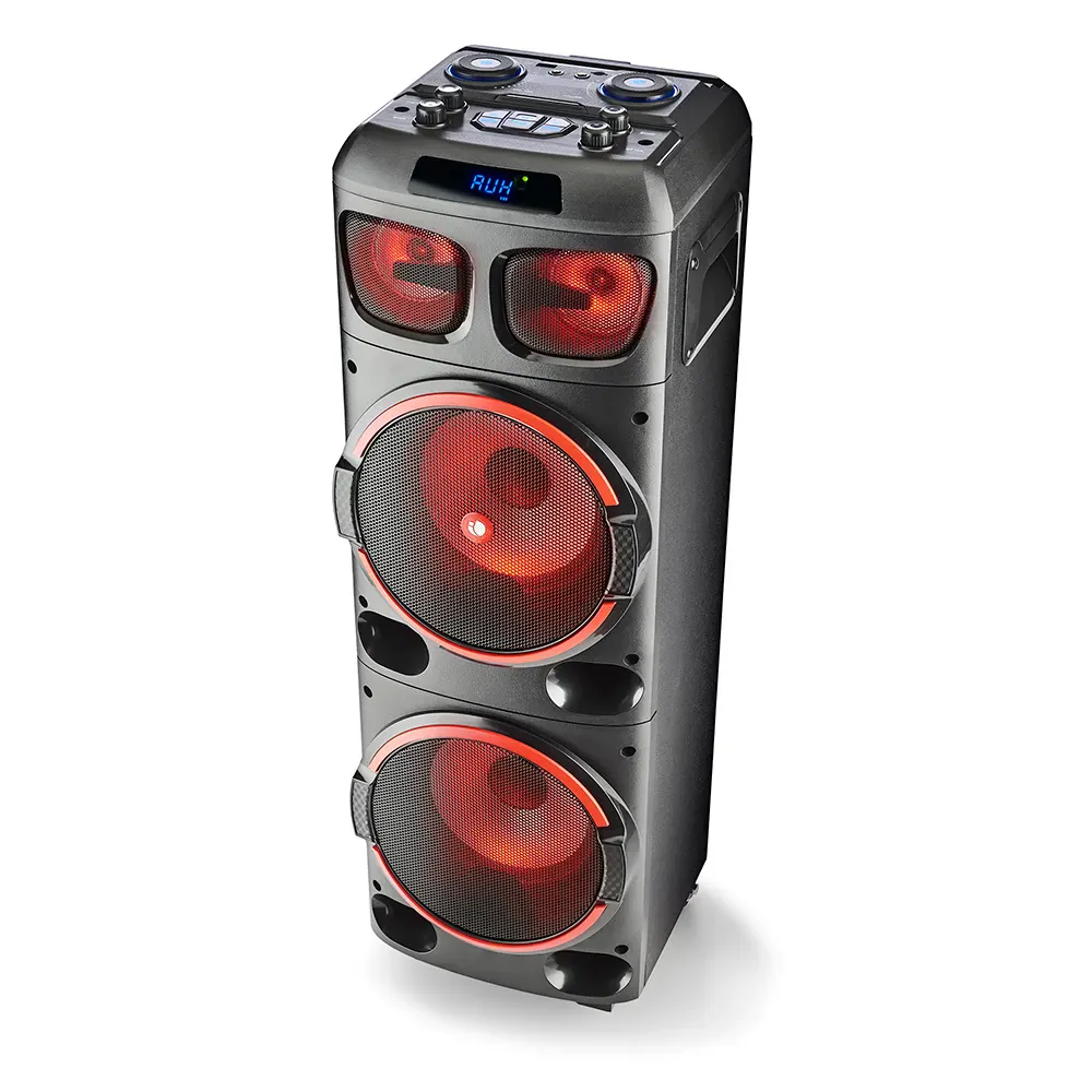 NGS Wild Dub 1 300W Partybox