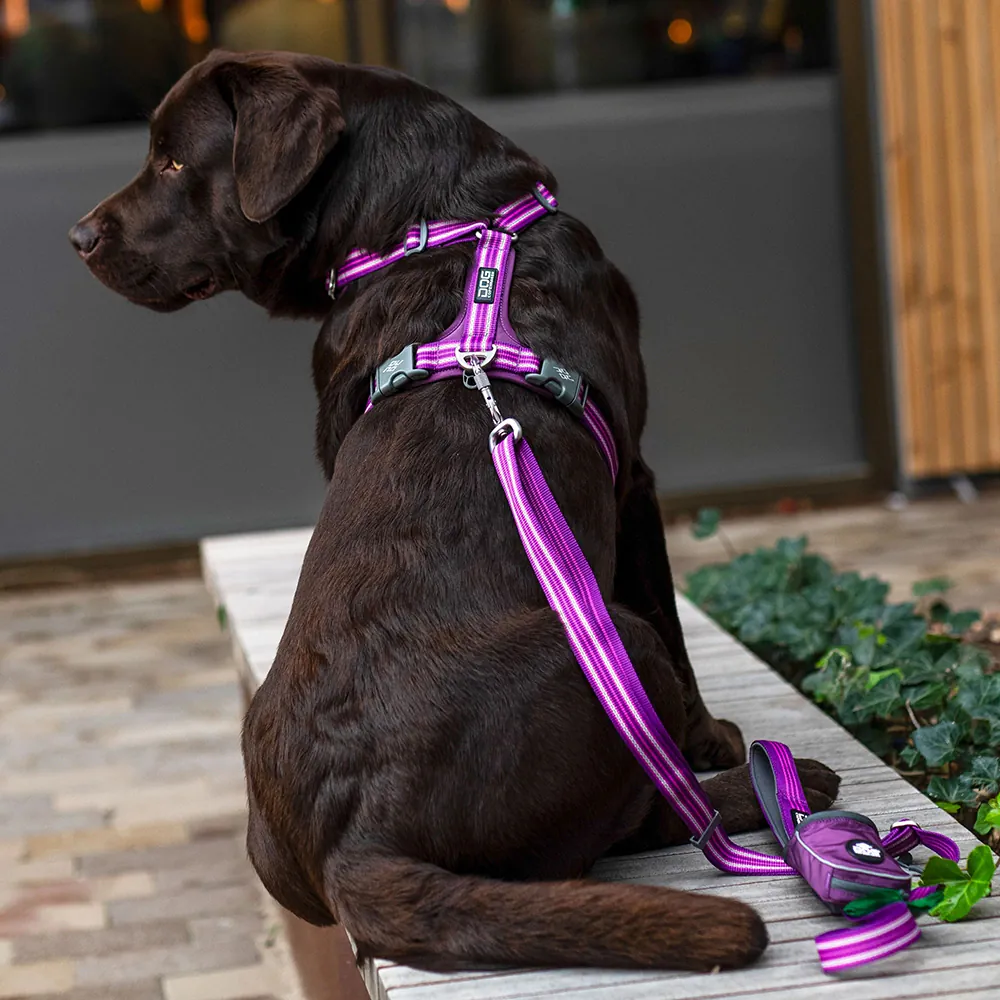Dog Copenhagen Tasche Pouch Organizer