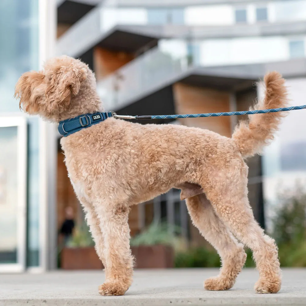 Dog Copenhagen Urban Explorer Halsband