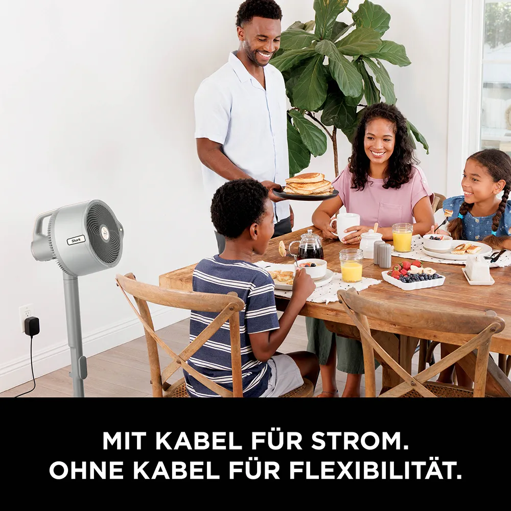 Shark FA300CH FlexBreeze Pro Mist Ventilator