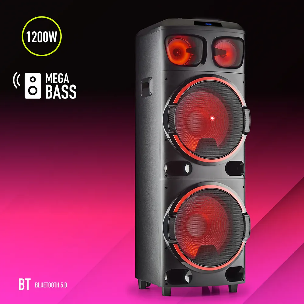 NGS Wild Dub 3 1200W Partybox