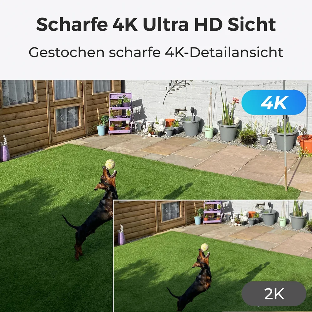 Reolink Argus B350 mit Solarpanel 2 und 64GB microSD-Karte