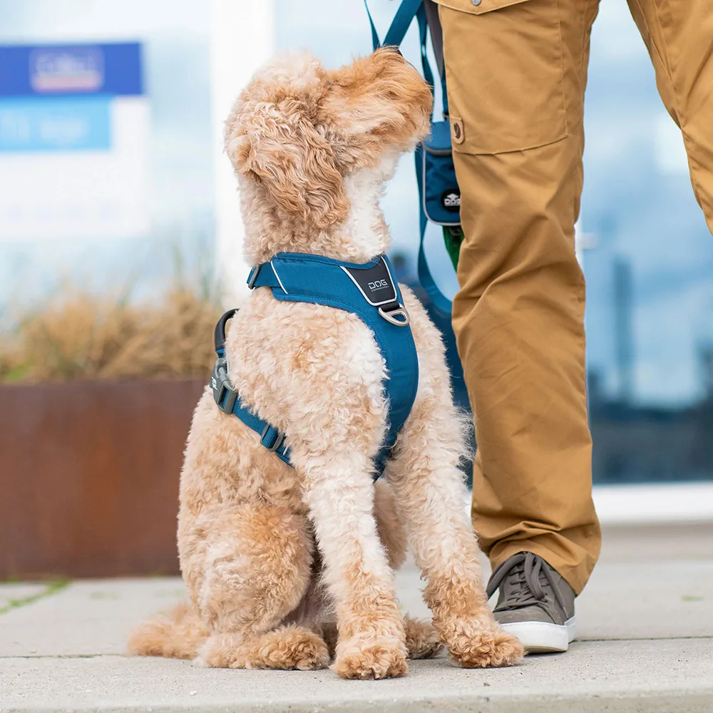 Dog Copenhagen Comfort Walk Pro Geschirr