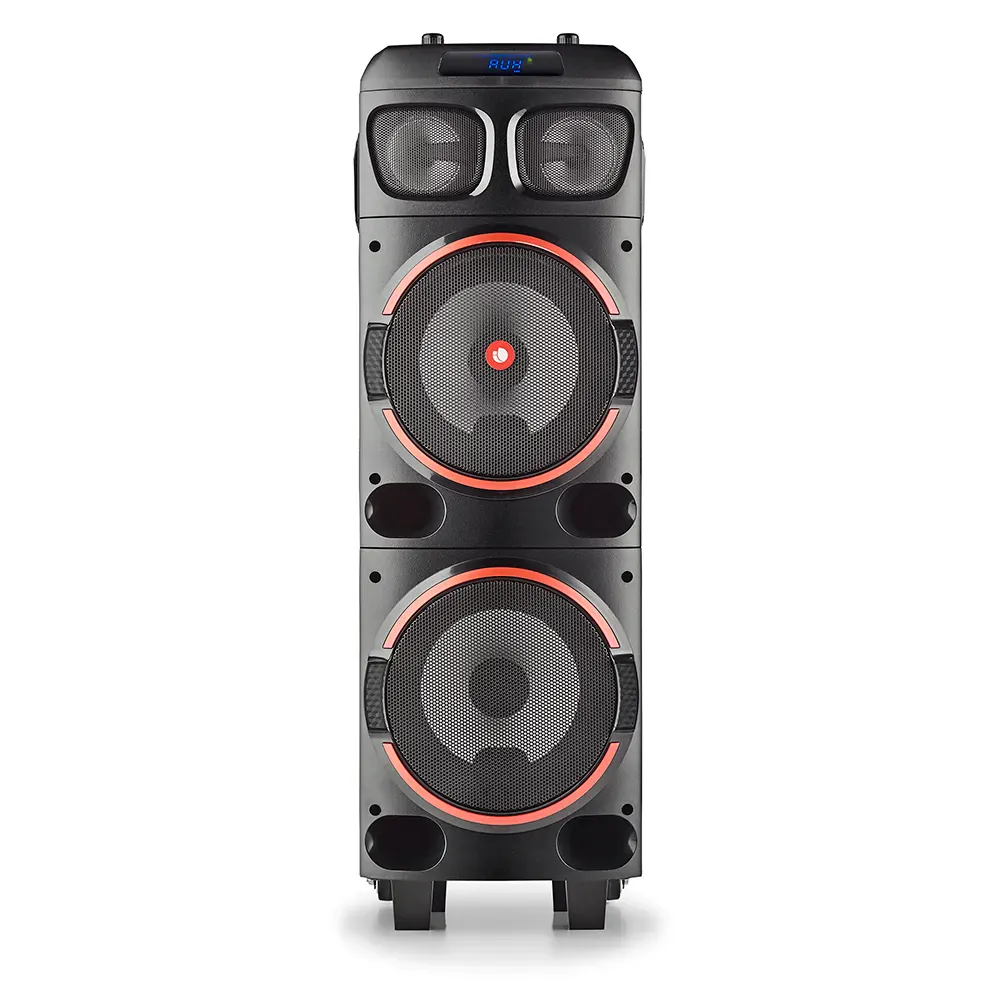 NGS Wild Dub 1 300W Partybox
