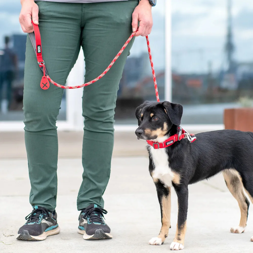 Dog Copenhagen Urban Rope Leine