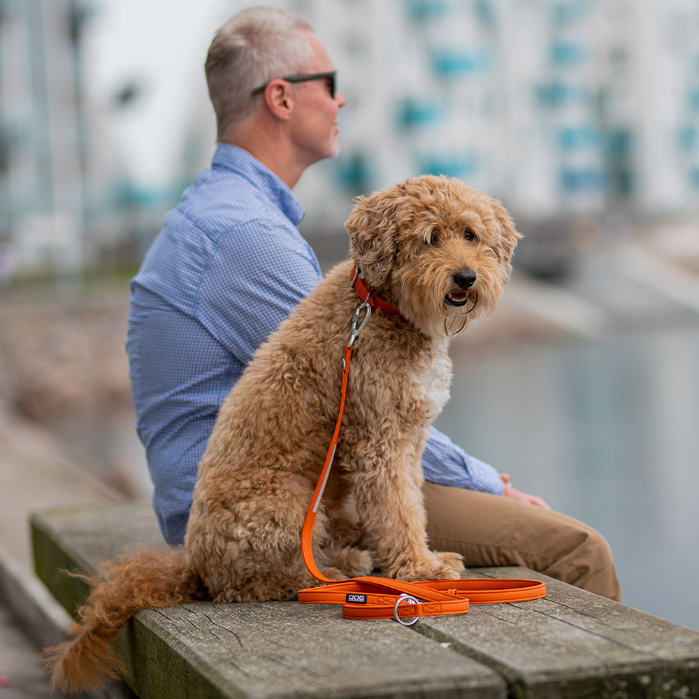 Dog Copenhagen Urban Classic Leine