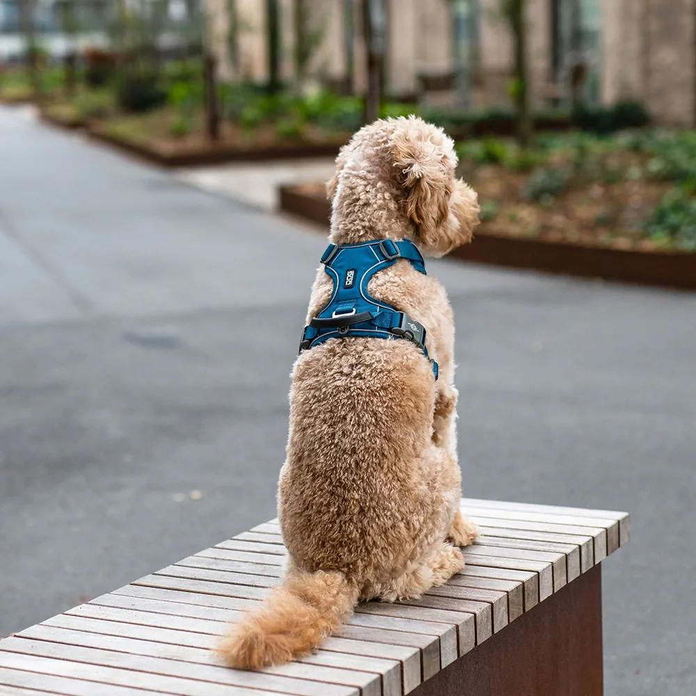 Dog Copenhagen Comfort Walk Pro Geschirr