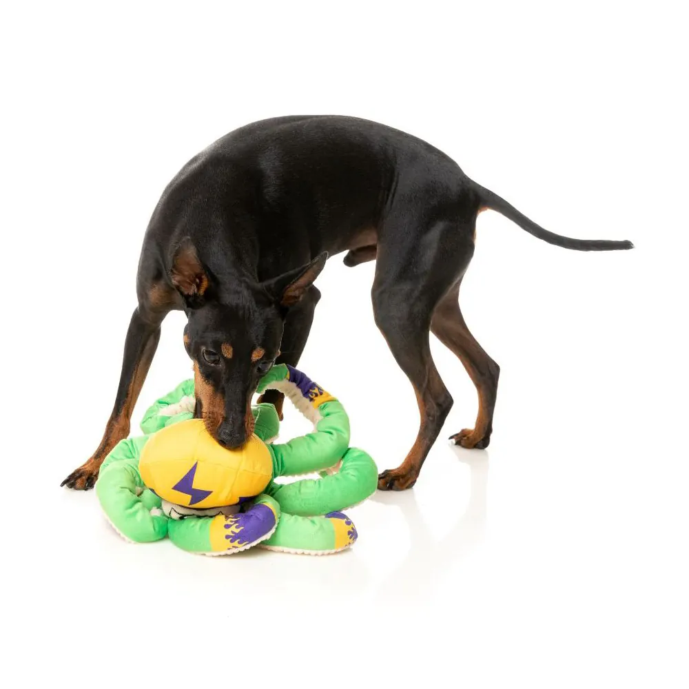 FuzzYard Octo the Outrageous - FZT1123 FuzzYard Octo the Outrageous