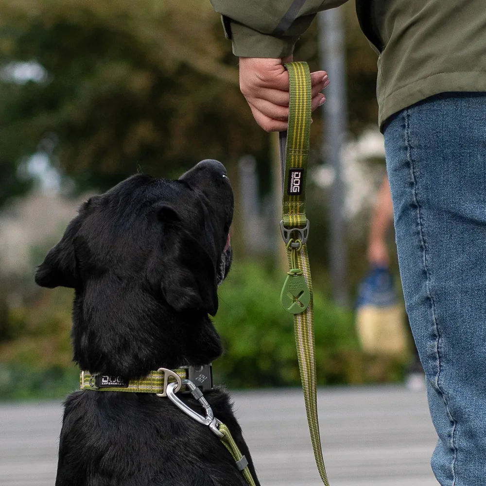 Dog Copenhagen Urban Style Halsband