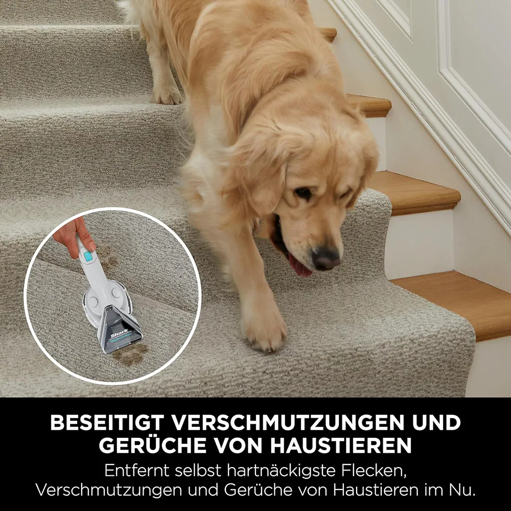 Shark StainStriker Flecken- und Polsterreiniger