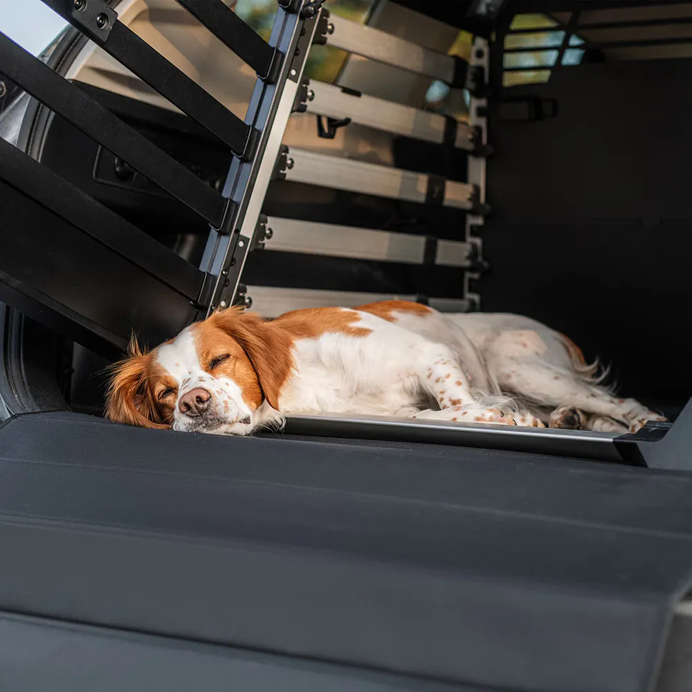 Thule Hundematte