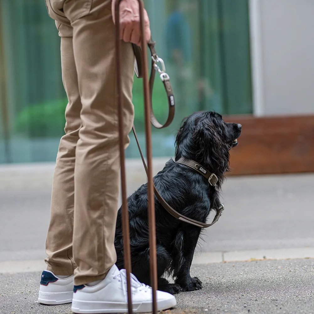 Dog Copenhagen Urban Classic Halsband