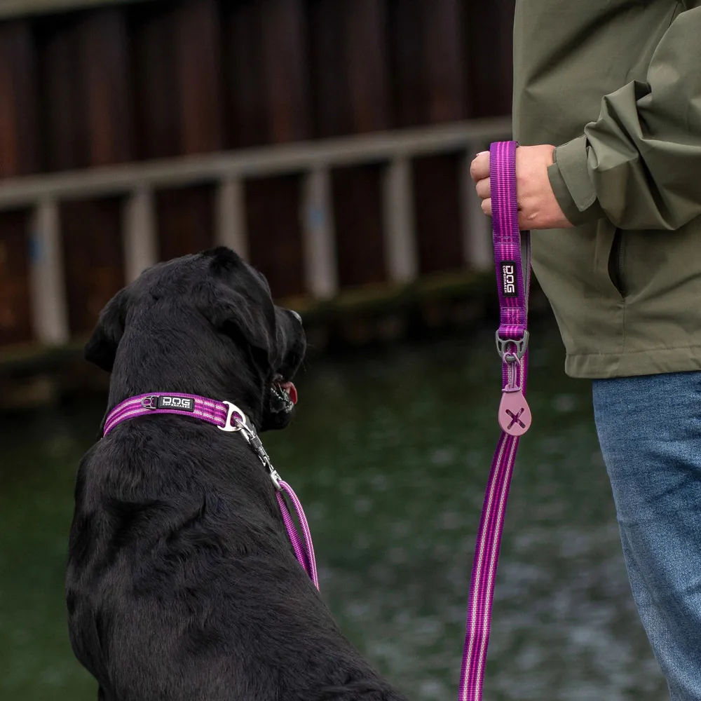 Dog Copenhagen Urban Style Halsband