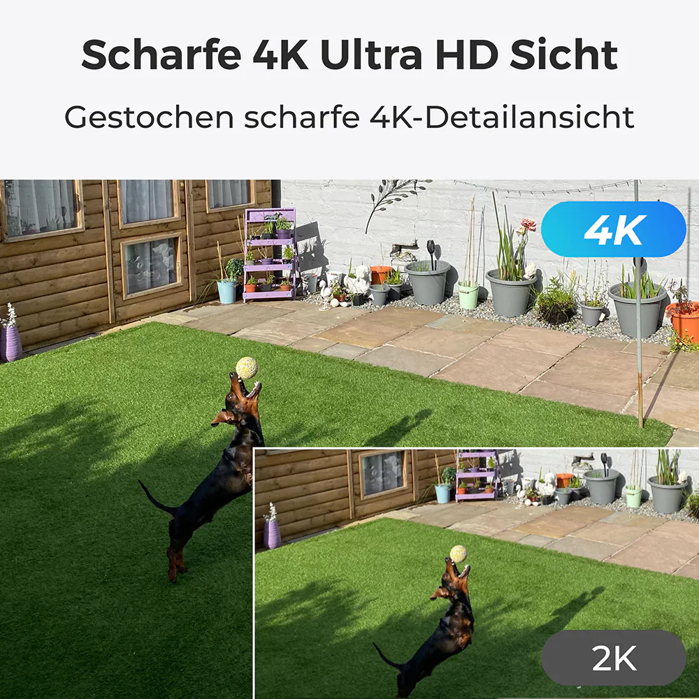 Reolink Argus B730 4K mit Solarpanel 2