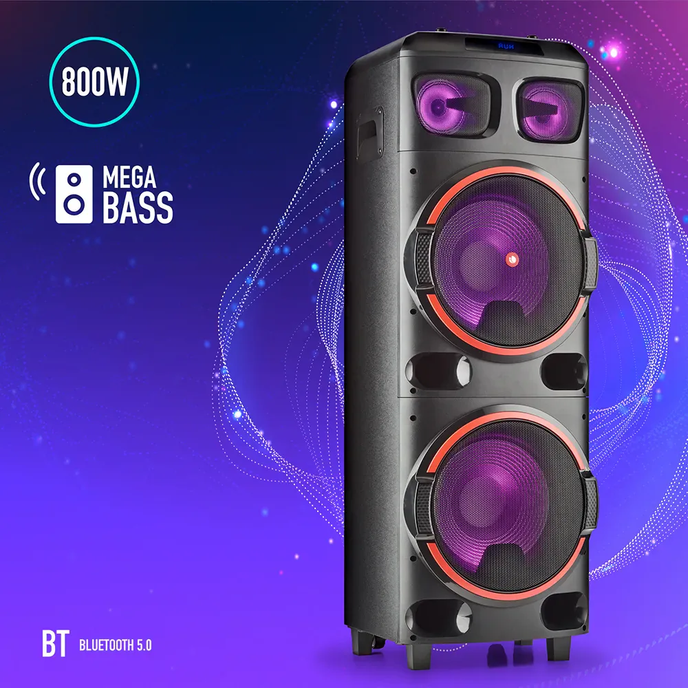 NGS Wild Dub 2 800W Partybox