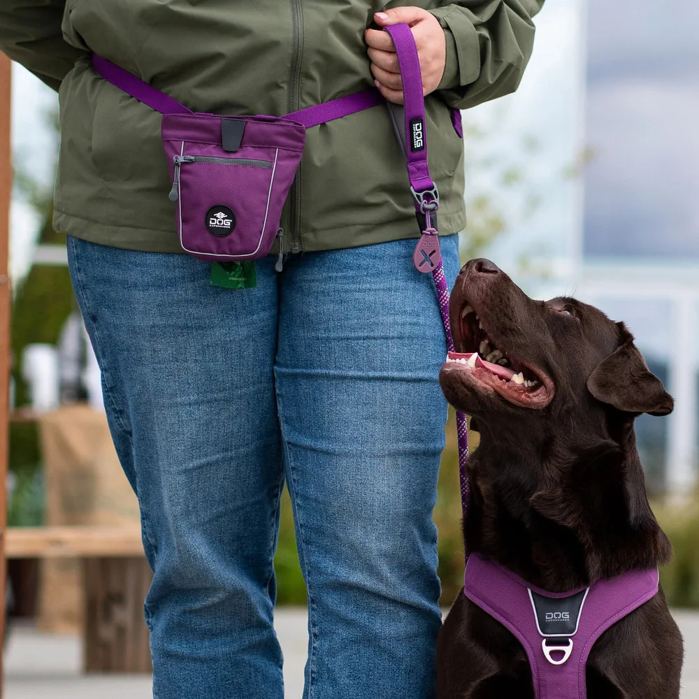 Dog Copenhagen Urban Rope Leine