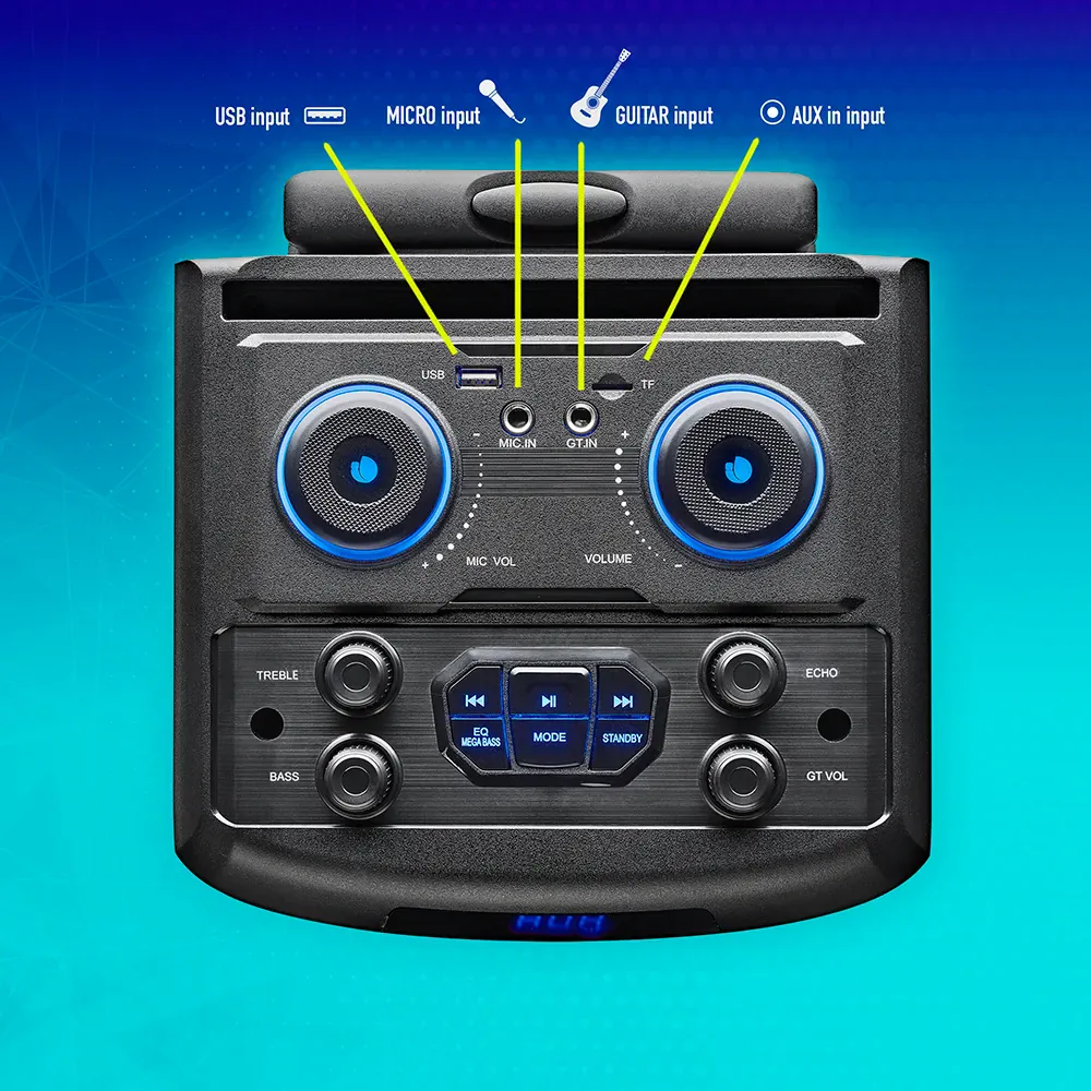 NGS Wild Dub 1 300W Partybox