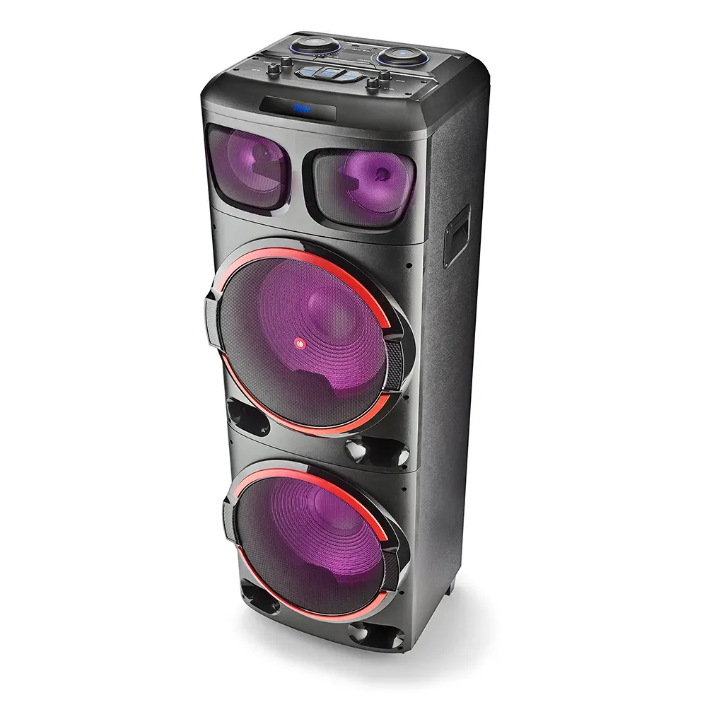 NGS Wild Dub 3 1200W Partybox