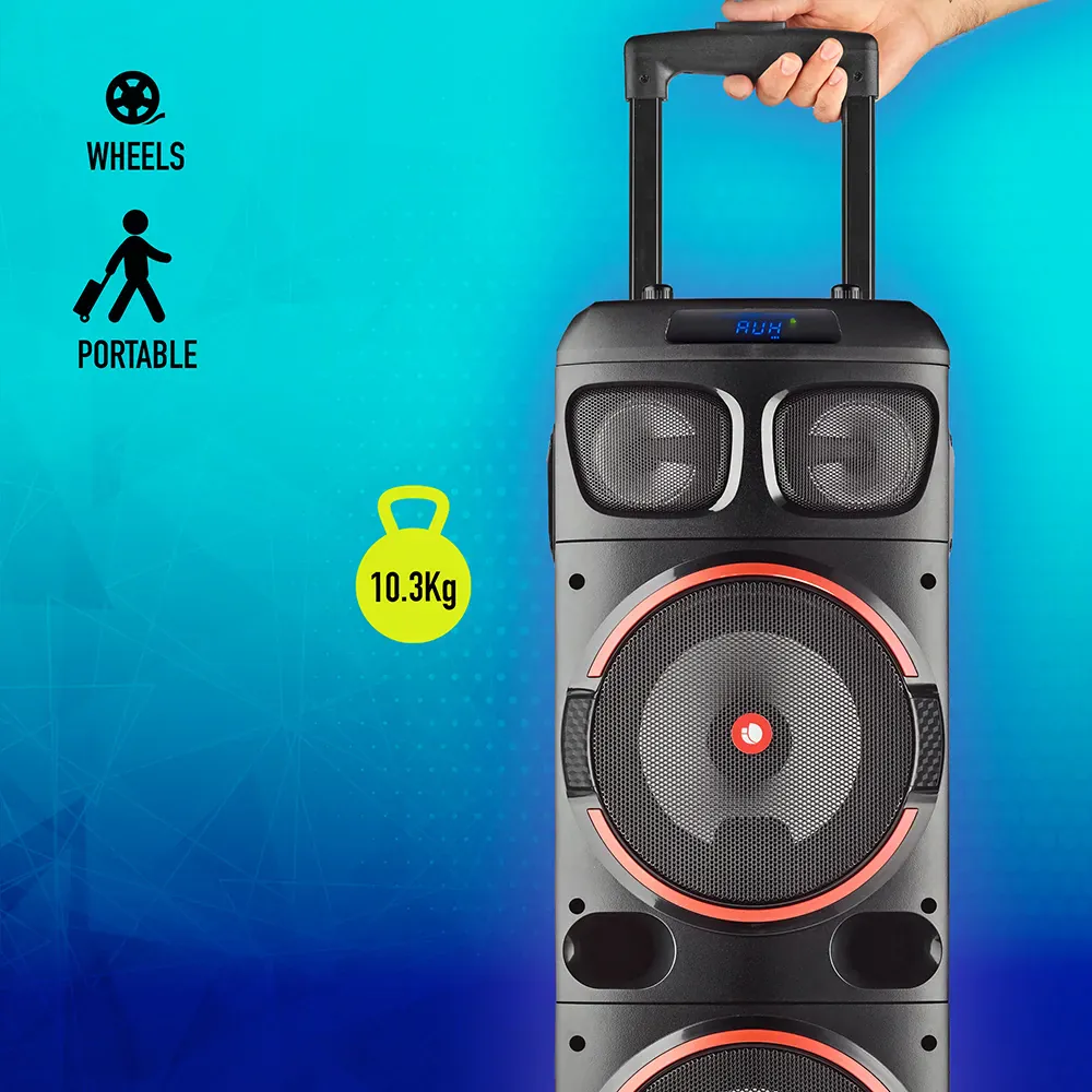 NGS Wild Dub 1 300W Partybox